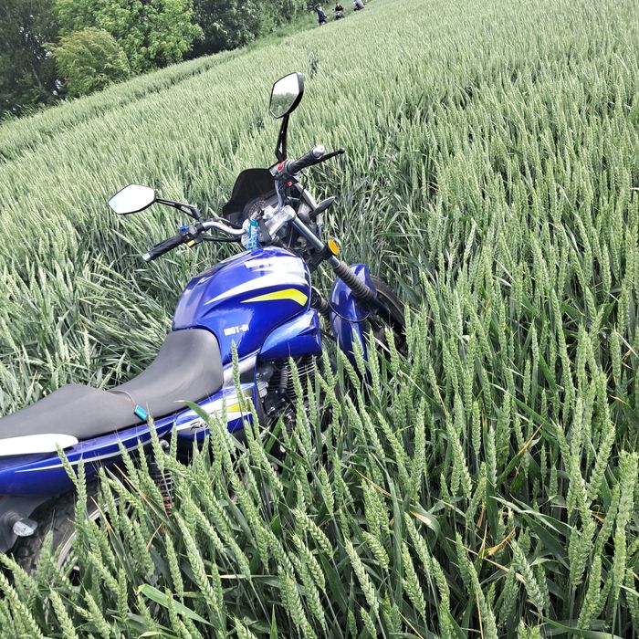 Продам Musstang регіон 150