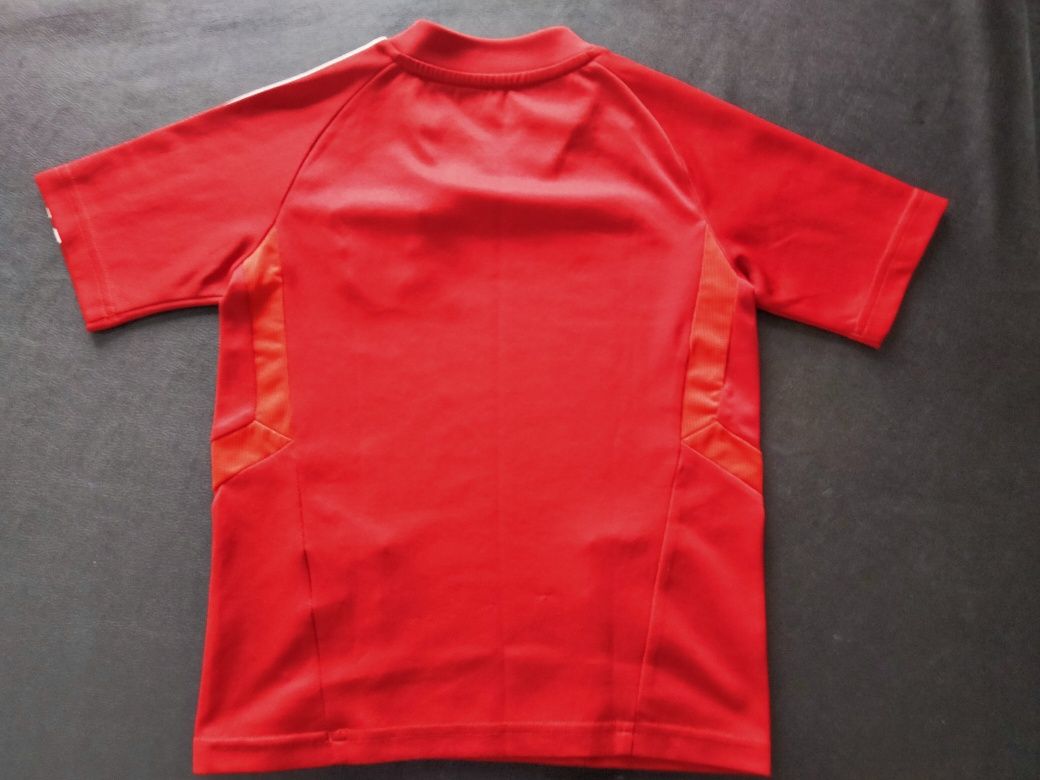 Camisola Benfica criança 5/6 anos