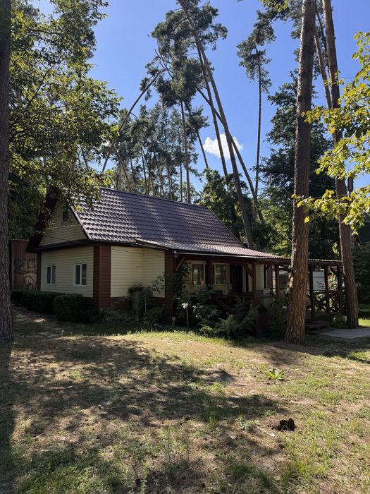 Продається на першій лінії Дніпра комплекс відпочинку в с.Сокирно