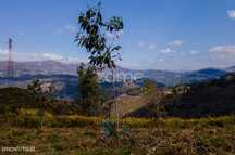 Terreno Versátil de 12.000m² em Ruivães, Vieira do Minho