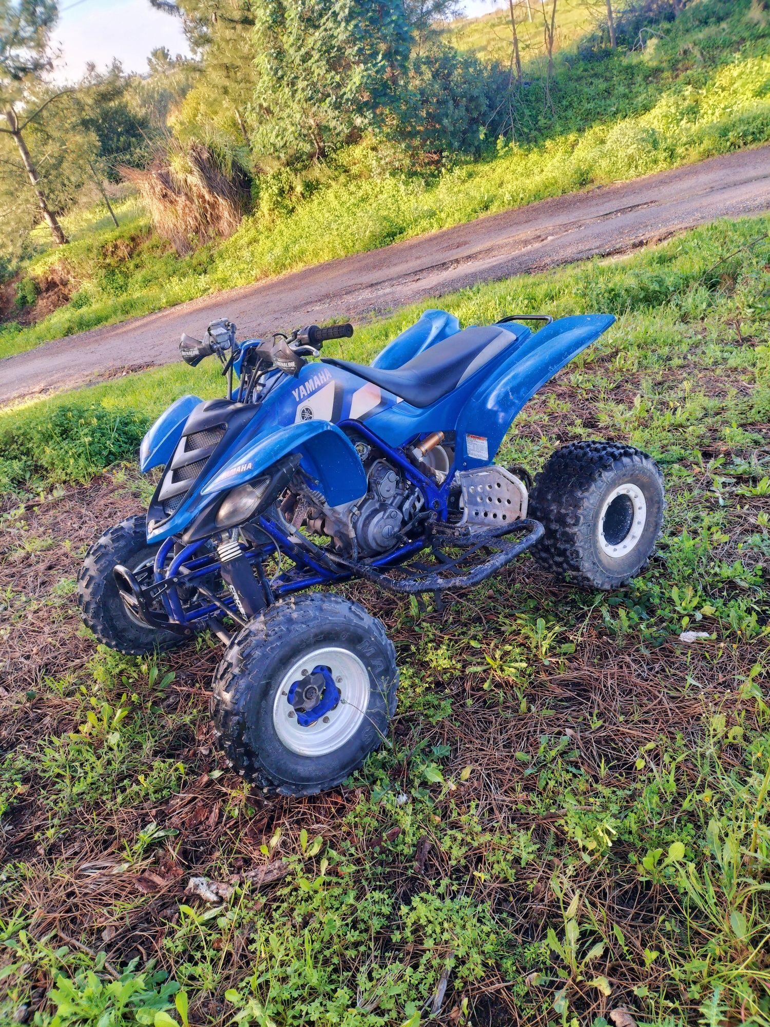 Yamaha Raptor 660