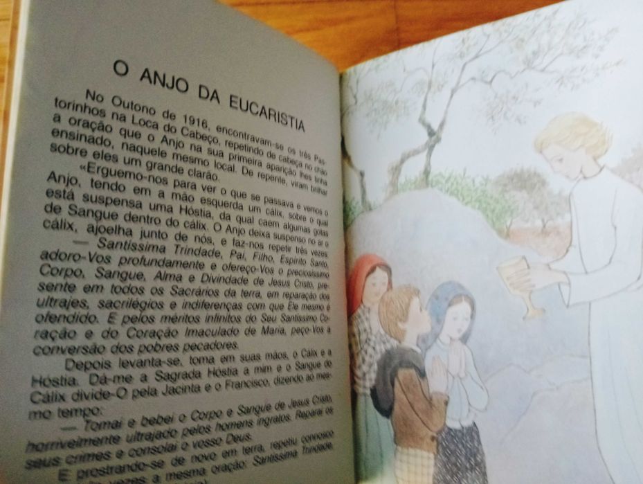 Livro Francisco, Pastorinho de Fátima