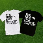 Cotton 100% • Новая футболка • The North Face • Cordinate • BIG Logo