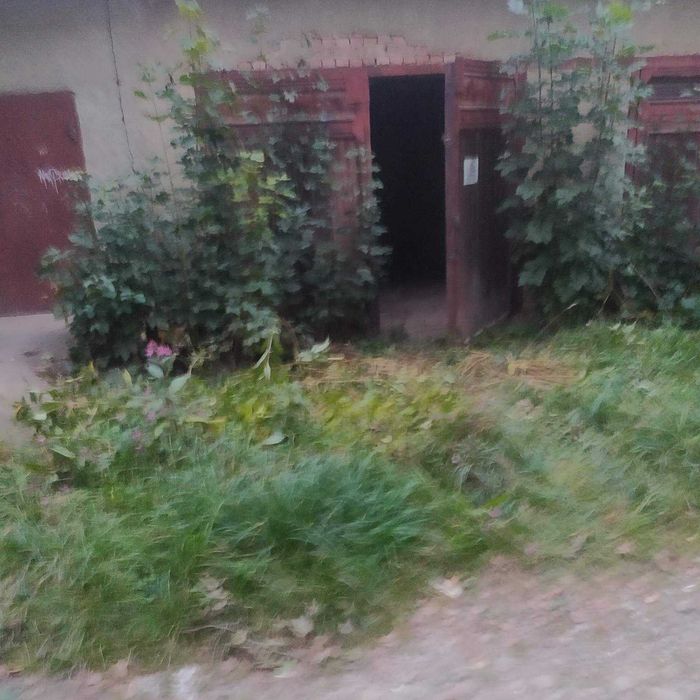 продаж гаража приватизованою земельною ділянкою