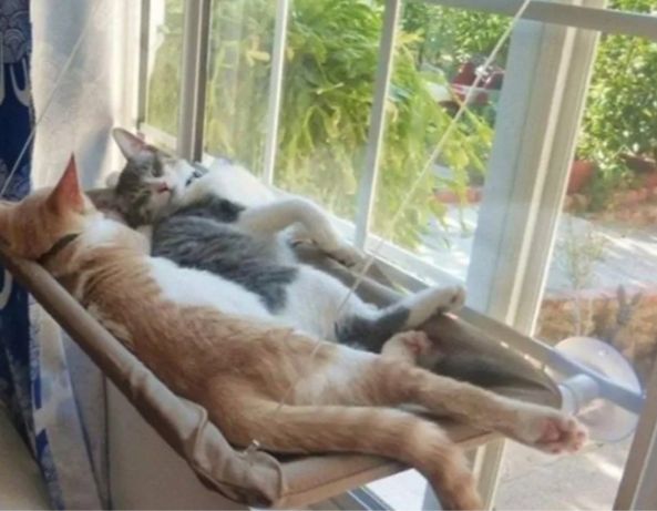 Віконна ліжко для кота Sunny Window Seat-Mounted Cat Bed