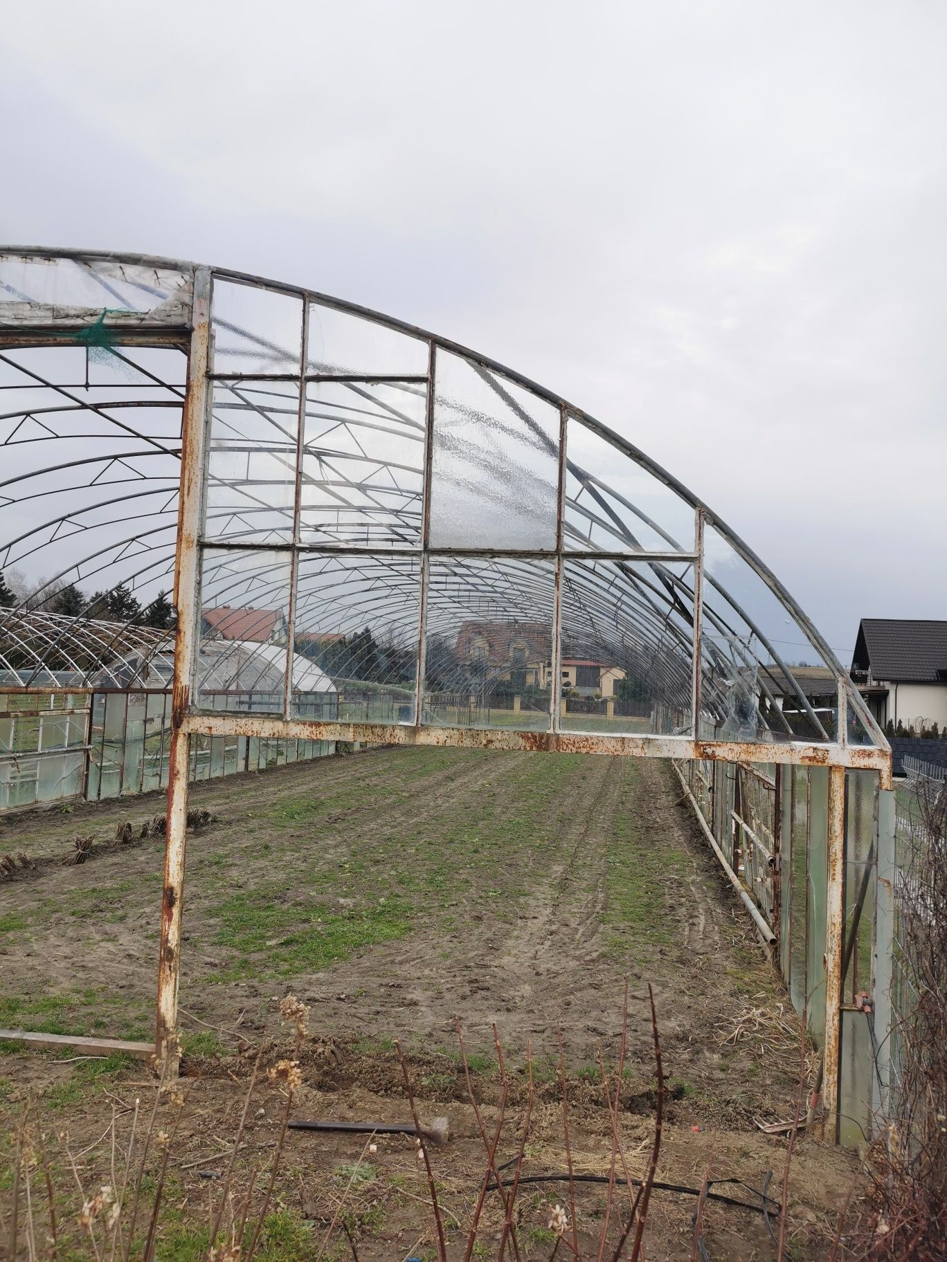 Tunel foliowy, namiot szklarnia