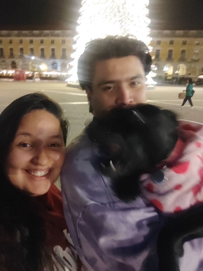 Serviço de passeio e creche para cães
