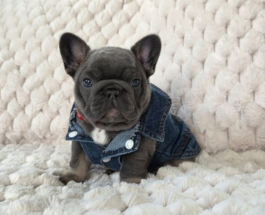 Ну дуже гарний хлопець