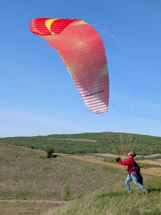 SKY COUNTRY Mascot - parakite wing