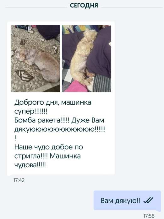 Машинка для стрижки животных собак кошек котов груминга gemei gm634