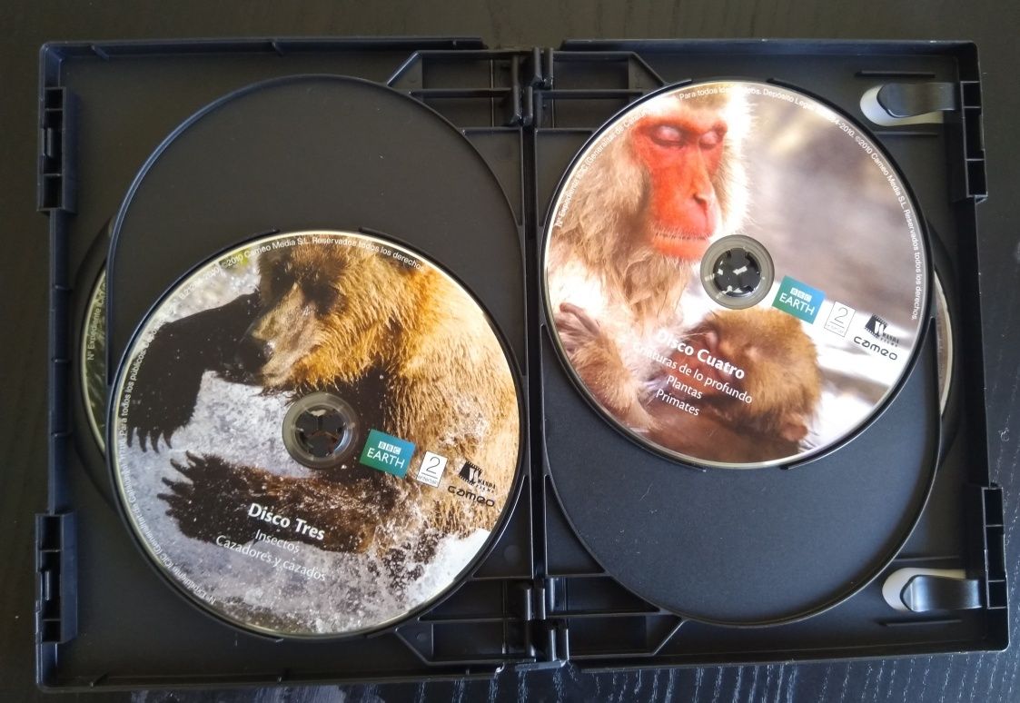 Série BBC Earth + 2 docs. Gorilas & Rinocerontes
