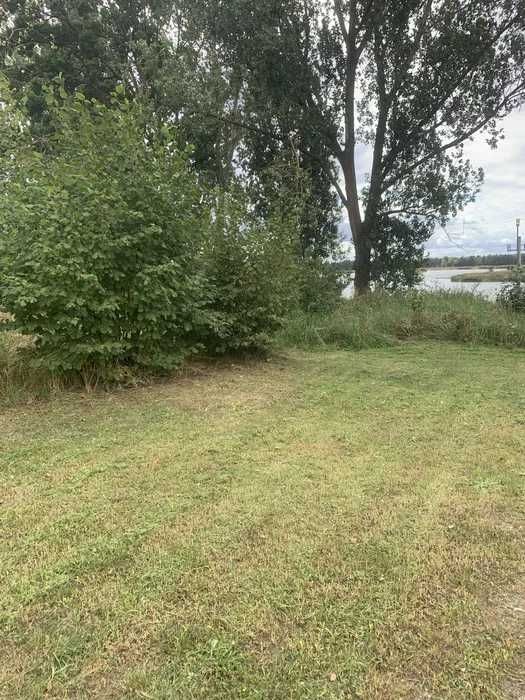 Wycinka drzew, karczowanie, czyszczenie pod budowę lub sprzedaż