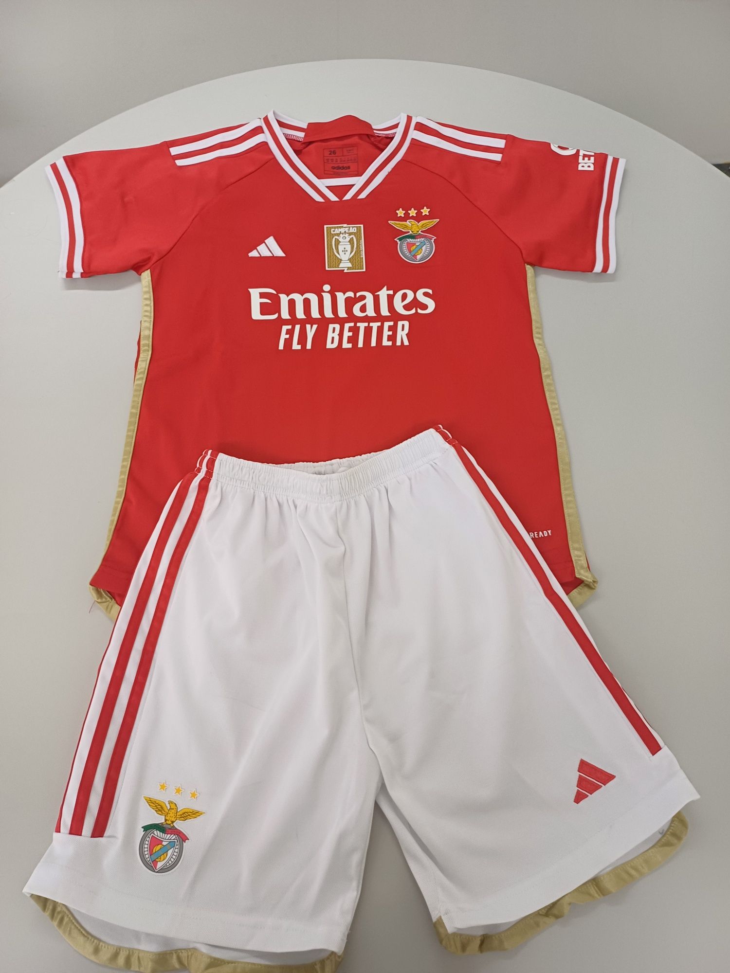 Equipamento criança Benfica 12 anos