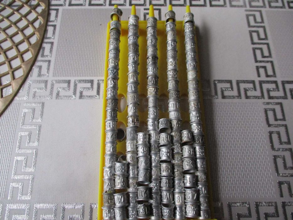 Obrączki dla gołębi