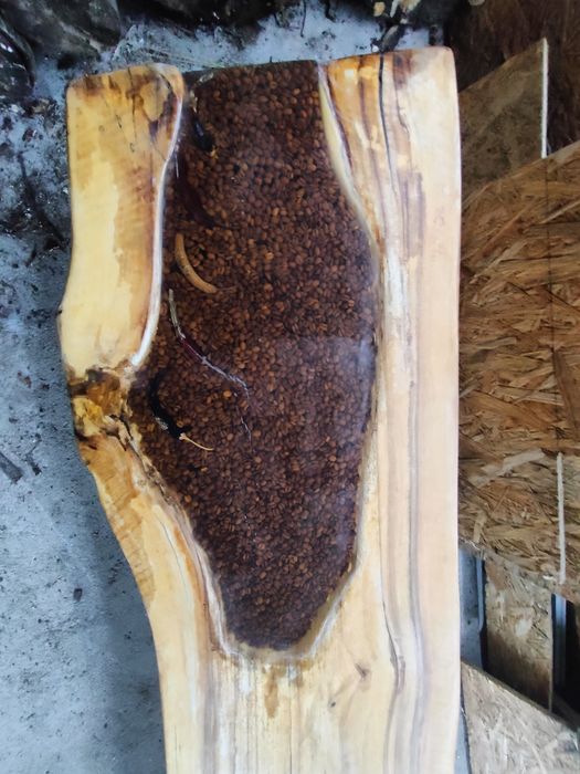 Blat stołu orzech żywica pół mat l