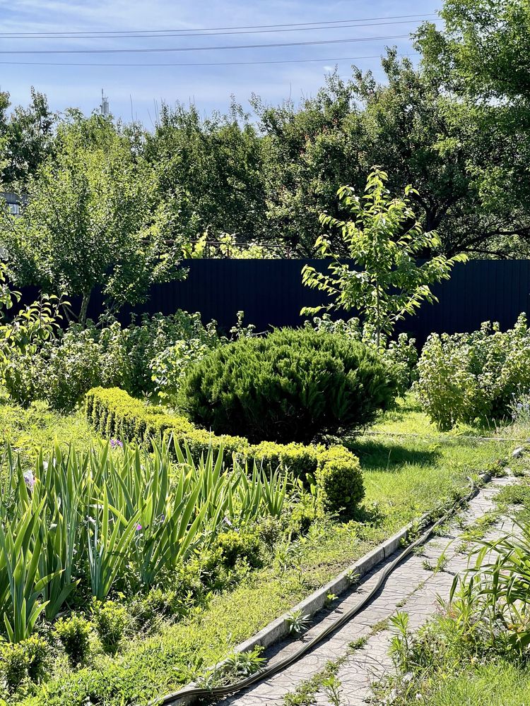Продаж Дачі СТ «Мрія» Куліші