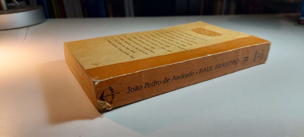 Raul Brandão - João Pedro de Andrade