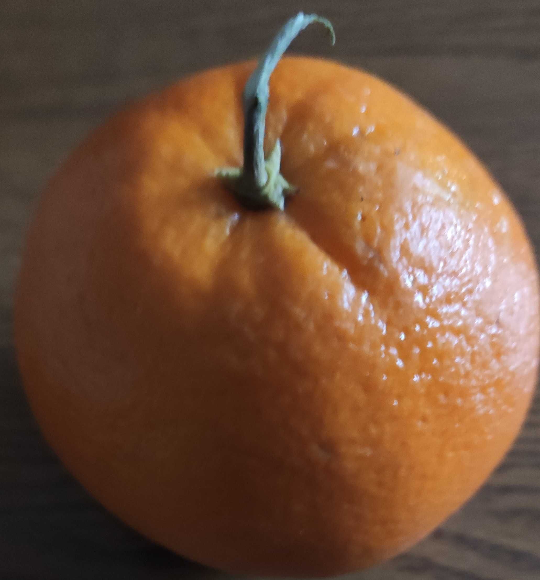 572  572  461 złoty numer w Orange
