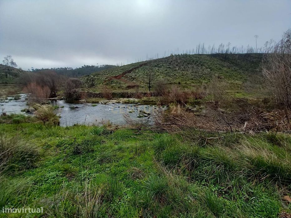 Terreno Rustico com 10000m2 Sobrainho da Ribeira