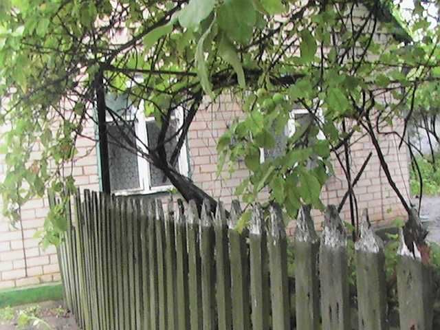 Продам будинок з землею в Солонянському районі, маєток близько 1 Га