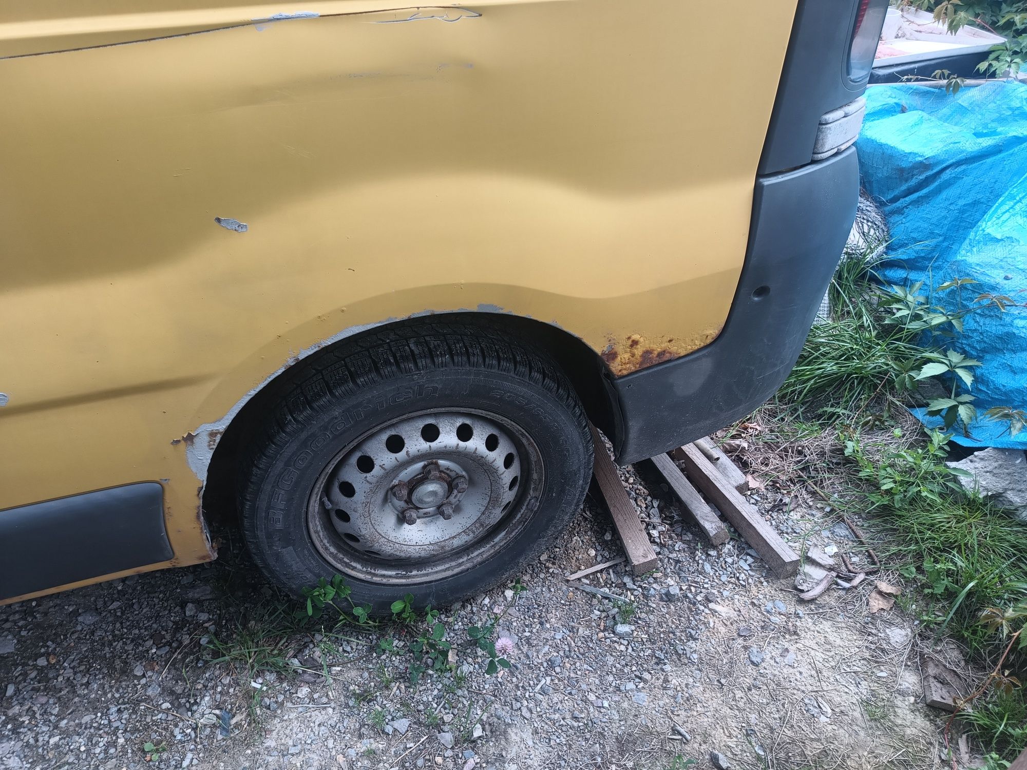 Skup Trafic Vivaro, Primastar, Master Busów