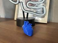 Brelok serce anatomiczne