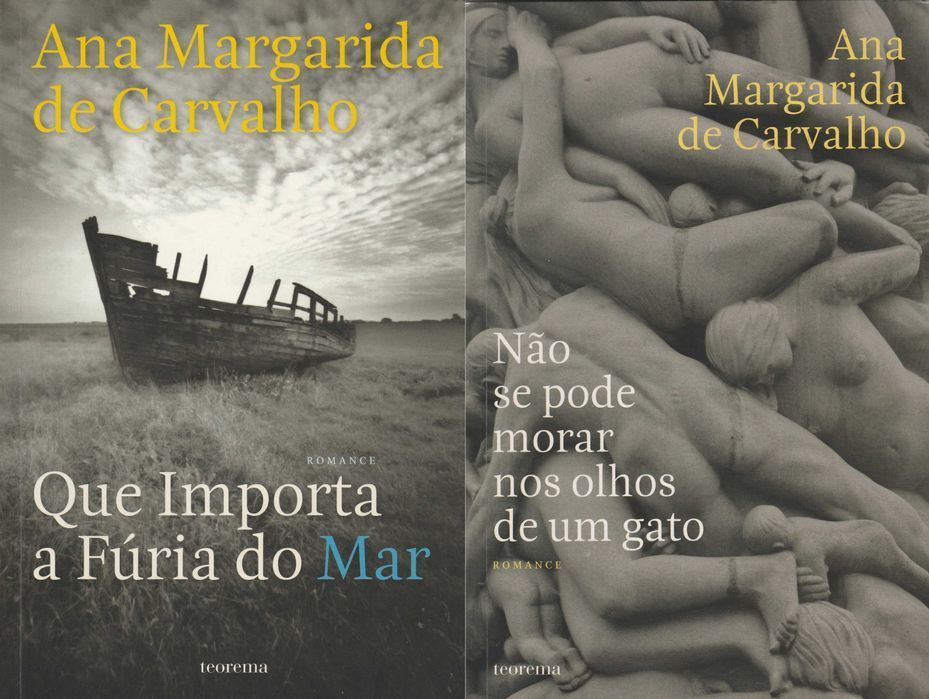 2 Livros de Ana Margarida de Carvalho [Preço do Conjunto]