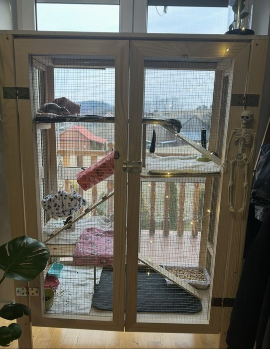 Oddam w dobre rece szczury z klatka