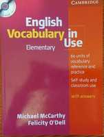 English Vocabulary in Use elementary + testy Cambridge