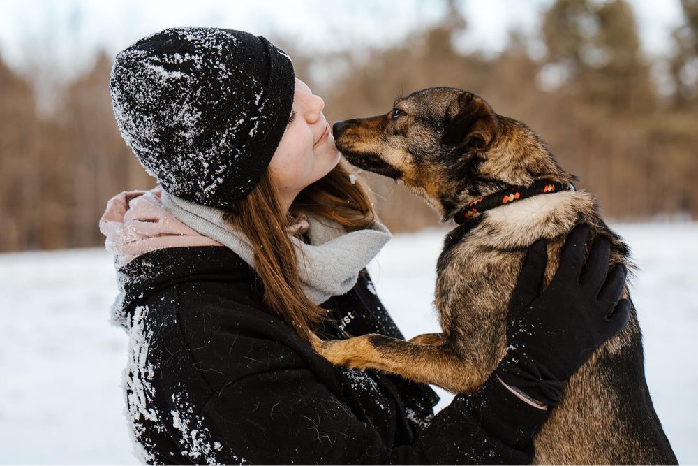 Cudowna filigranowa Lola czeka na wymarzony dom adoptuj