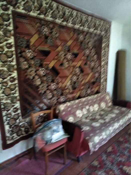 Будинок з садком та ділянкою