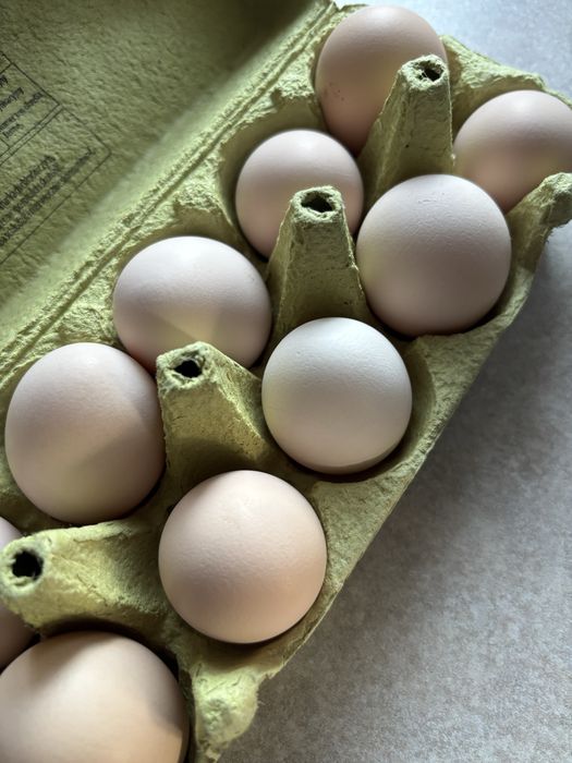 Świeże wiejskie jajka