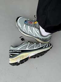 Кроссовки Salomon S/LAB XT-6 ADV Silver Black White