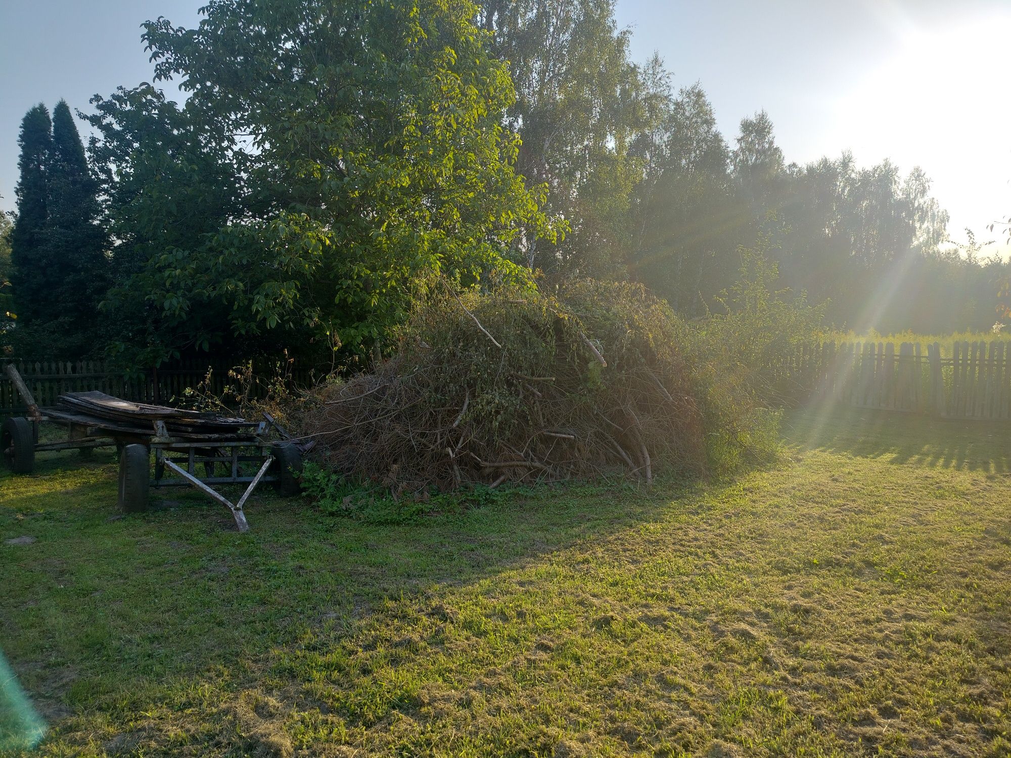 Gałęzie na rozpałkę(sosna,świerk)