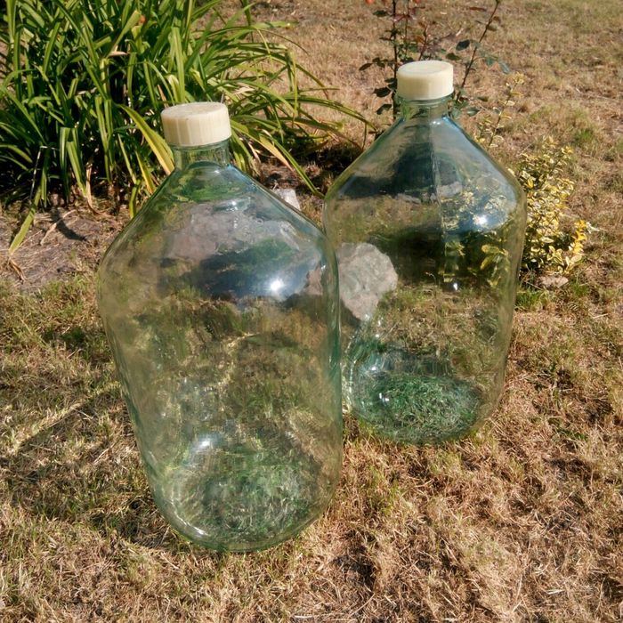 Бутлі скляні 10, 6, 4, 2, 1л. З кришками та без.