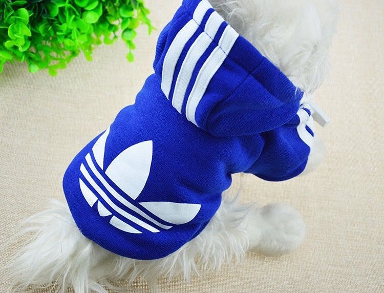 Bluza bluzy dla psa kurtki fla piesków york shih tzu maltańczyk