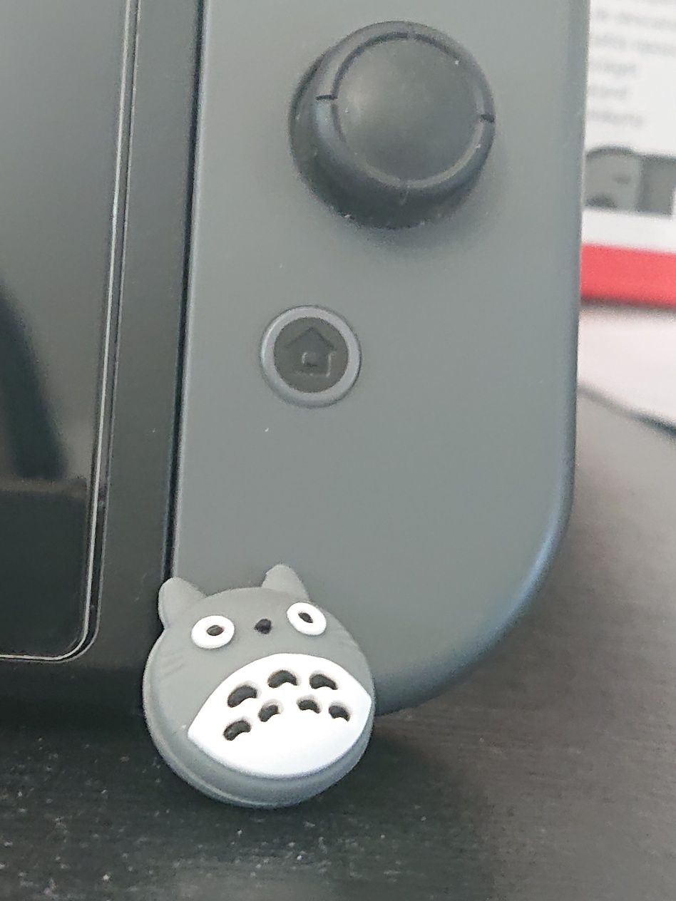 Nintendo Switch V.2 Etui twarde i Animal Crossing New Horizons
