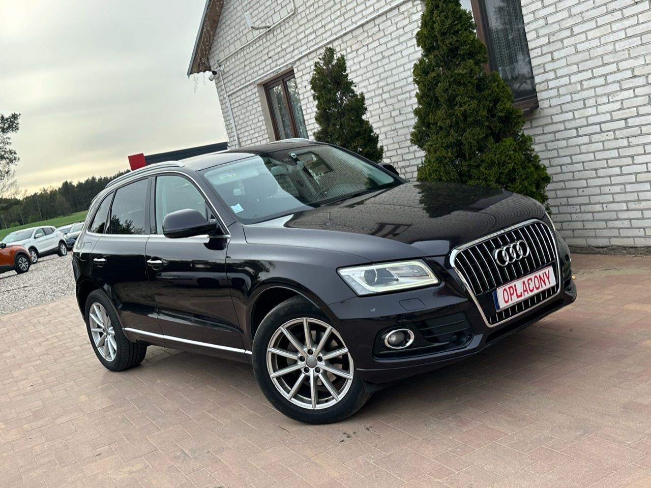 Audi Q5 Bogata wersja wyposażenia