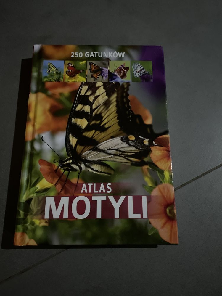 Atlas Motyli ksiazka