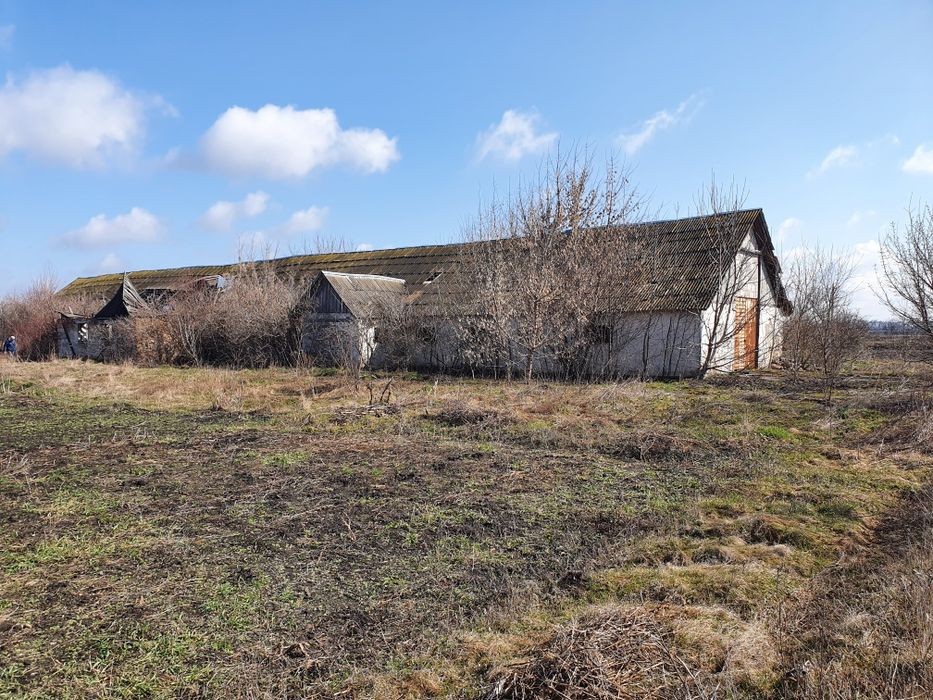 Продам ферми, свинарник, телятник, тваринницькі приміщення