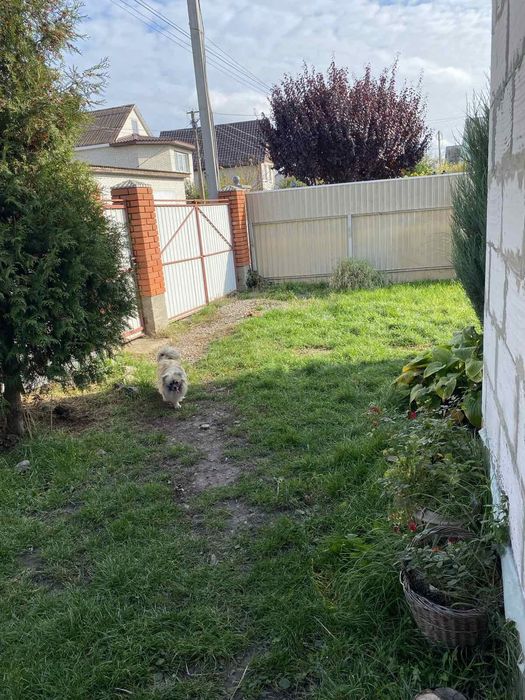 Продам будинок на Таращанському масиві