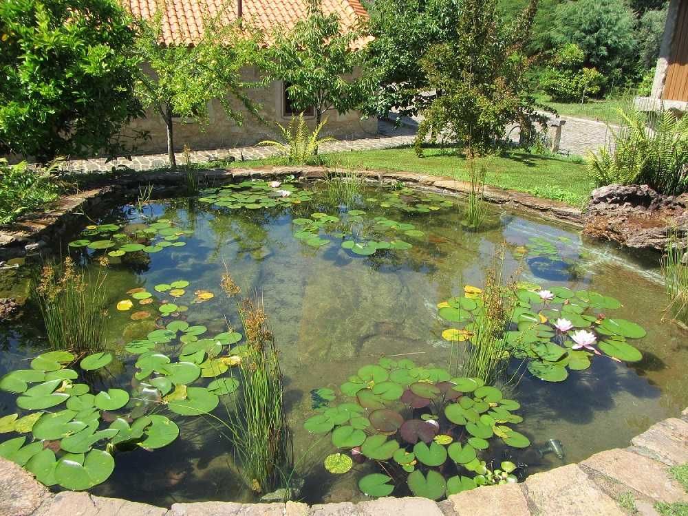 Quinta Dos Maias