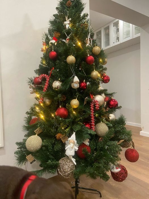 Arvore natal 2m vom pinhas e enfeites