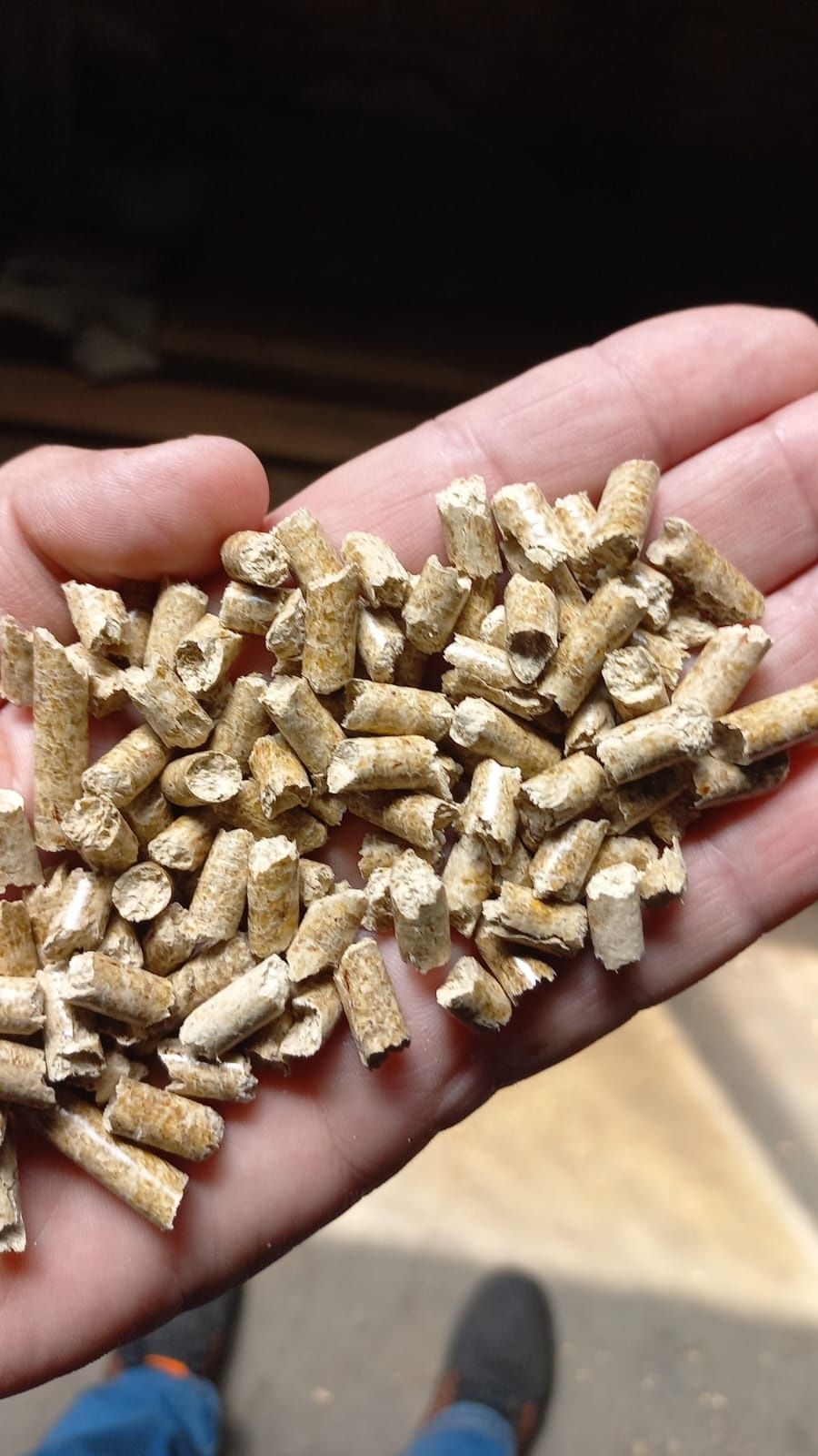 Pellet A1 sosnowy Dostawa