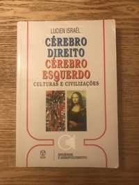 Cérebro direito Cérebro esquerdo