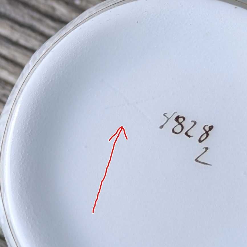## Wiekowa Śląska Porcelana – z XIX wieku - Charlottenbrunn ##