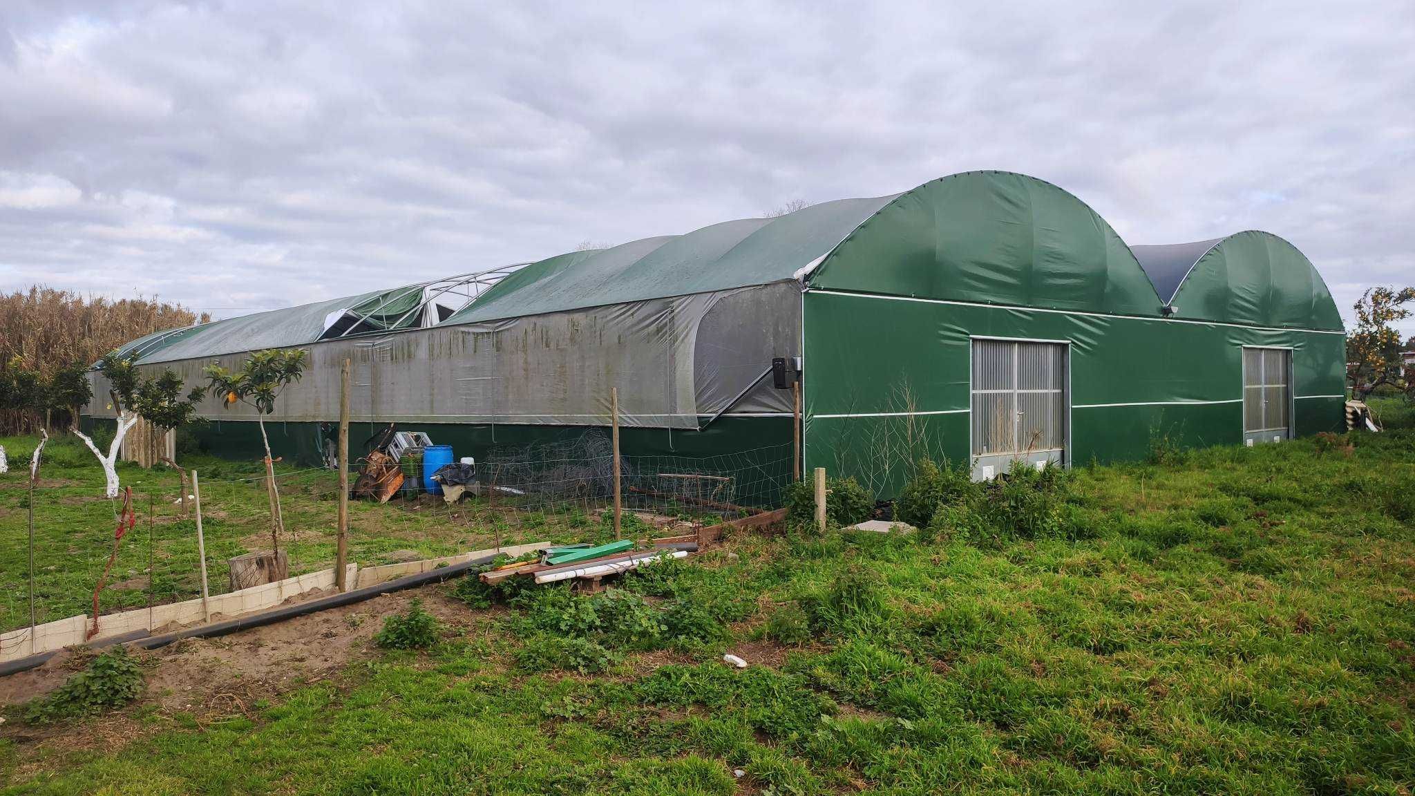 Estufa agricula de 800m2 para venda, com sistema de rega e outros.