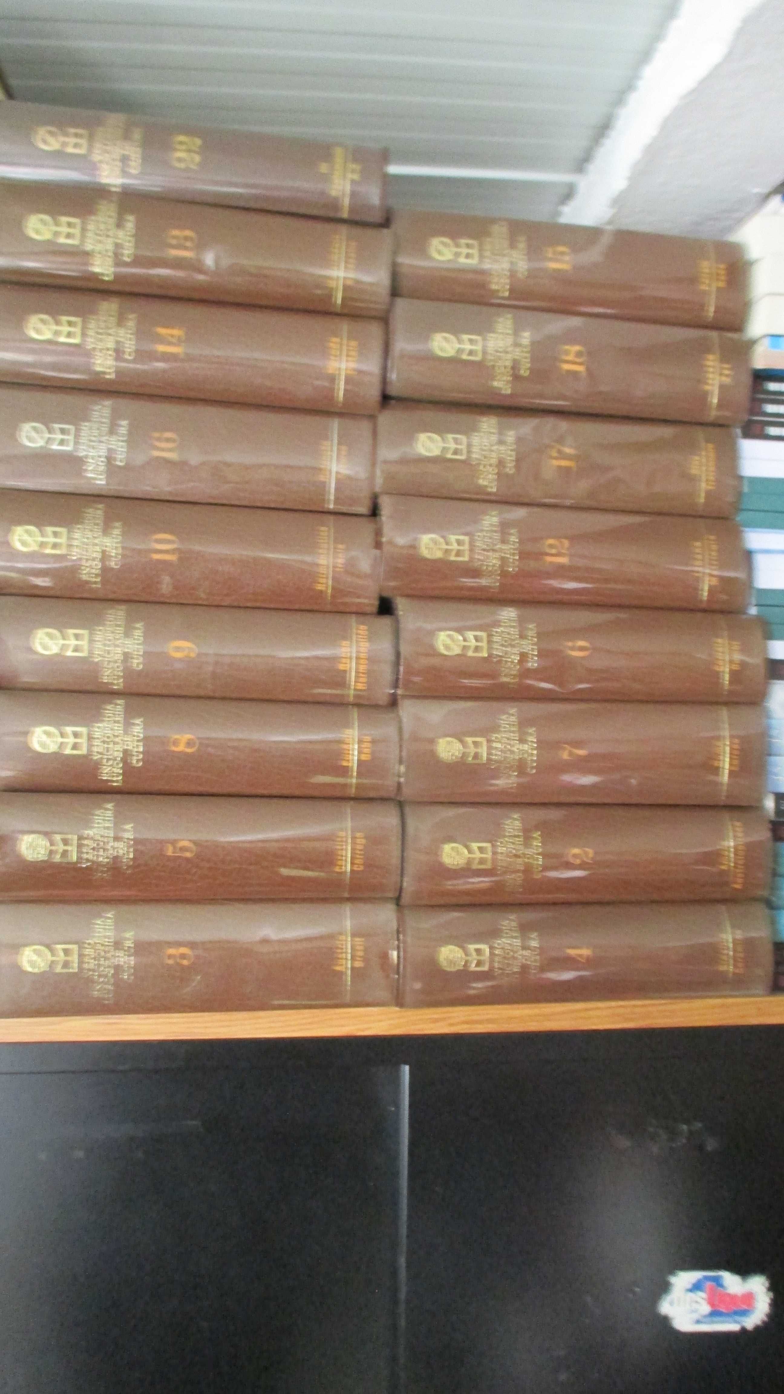 Enciclopedia Lusa Brasileira da Cultura ( 23 Livros )