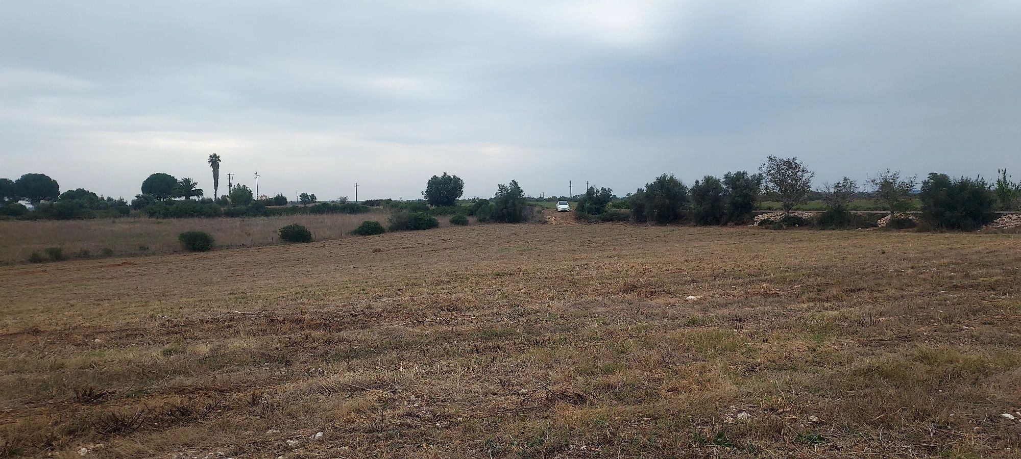 Terreno com possibilidade de construção para industria tipo C e D.