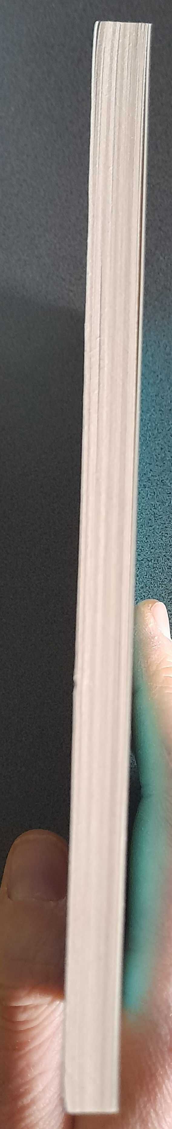 Przebłyski Zadie Smith & Mexican Gothic Silvia Moreno-Garcia 2 KSIĄŻKI